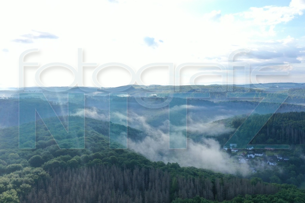 2022-06-01 07-22-09_DJI_0268 | Nitz Fotografie aus Montabaur bietet Ihnen hier die Möglichkeit Bilder auszusuchen und zu bestellen. 