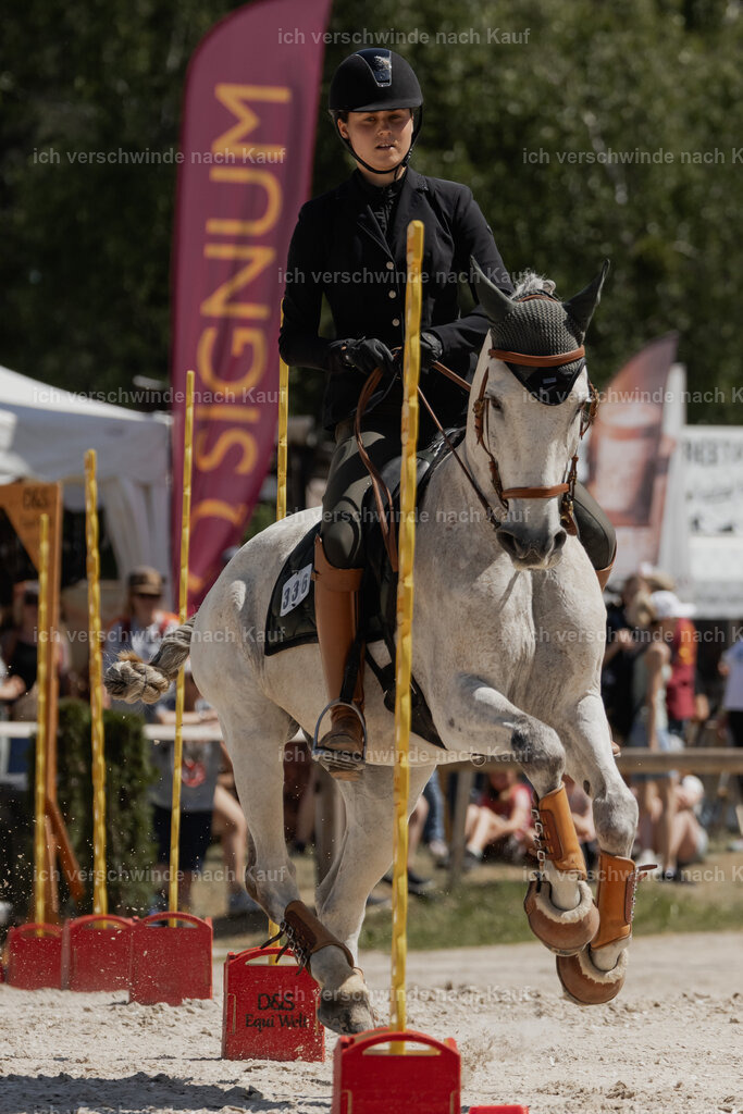 WE_SP_Stoib_336_PI2025_1694 | Pferd International München 2025