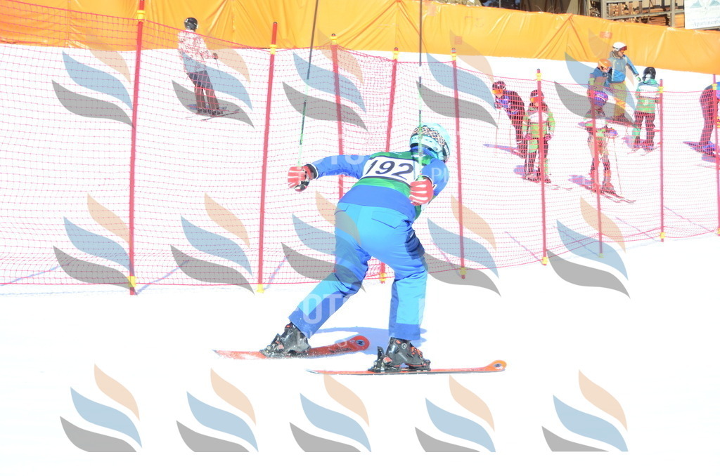 C6528 | holidayphoto