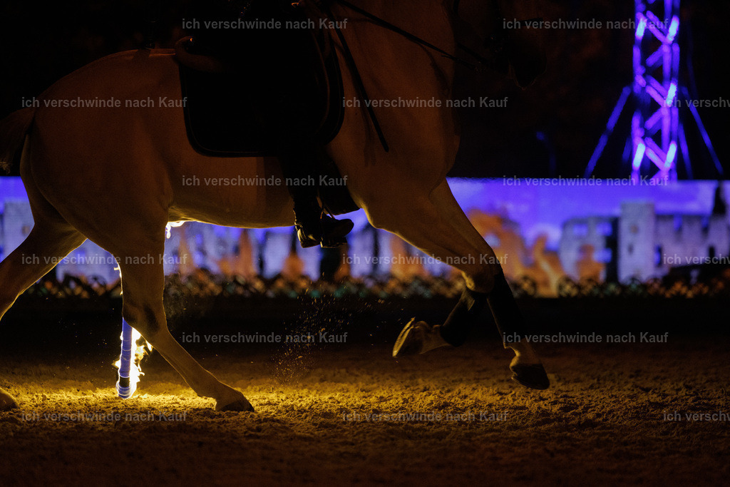 FHClassics-382 | working equitationturnier fotograf videograf stoibphotography marixx film working equitation deutschland reitsport turnierfotografie eventfotografie equestrian events