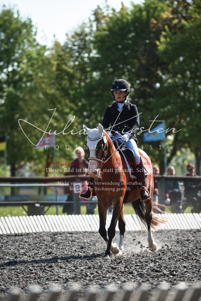 DSC_8702 | Pferde- und Turnierfotografie in Westsachsen. Pferdeportraits, Auftragszeichnungen und intuitive Kunst.