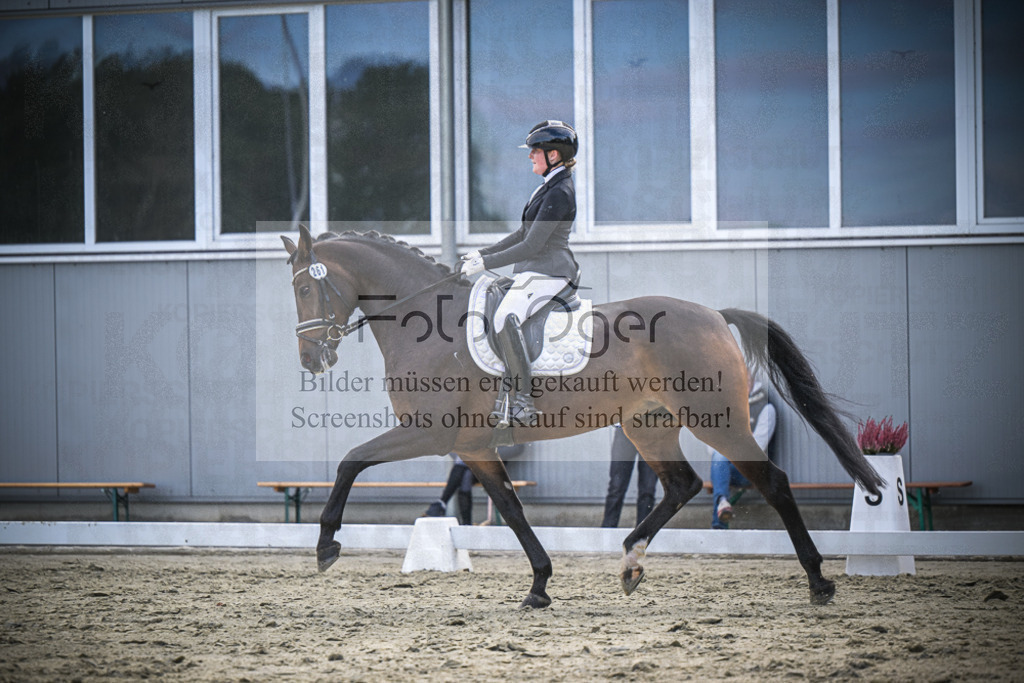 DOS_1615 | Entdecke hochwertige Reitturnierfotos von Foto Oger. Professionell, emotional und authentisch – jetzt Lieblingsmomente im Shop bestellen.Deutschlandweite Turnierfotografie. - Realisiert mit Pictrs.com