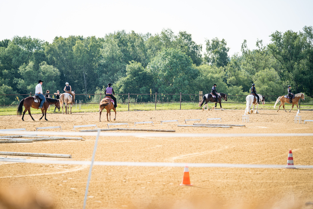 DSC07990 | Pferdegrafie