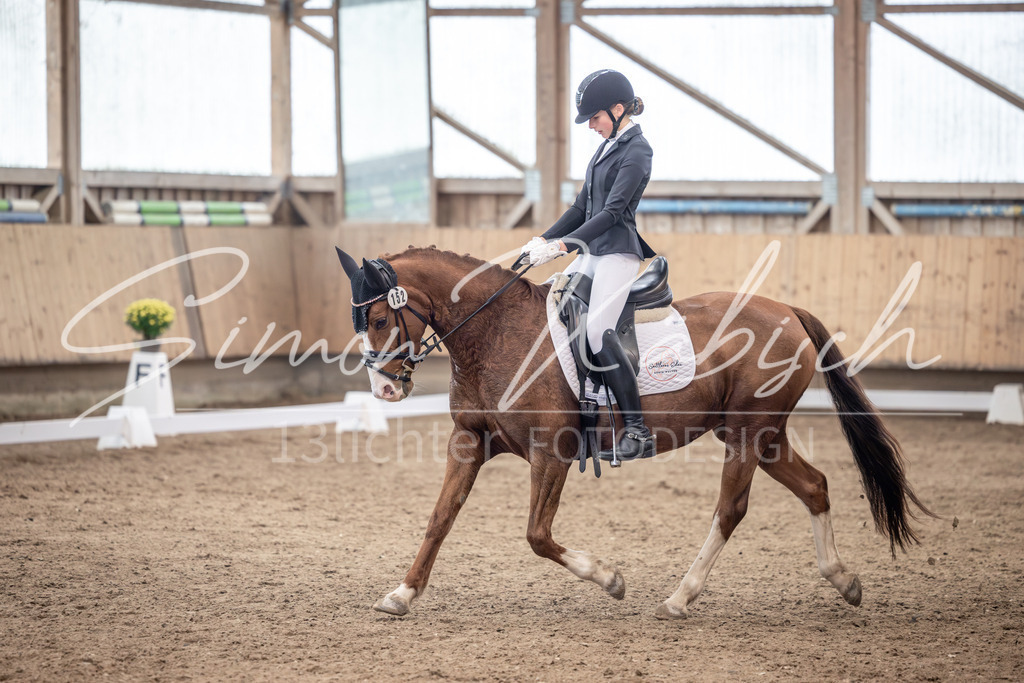 20251011-_3LI0594 | Tierfotografie Pferde, Hunde, Katzen, Haustiere.
Turnierfotografie Reitturniere, Reiten, Springreiten, Dressur in Hanau, dem Main-Kinzig-Kreis und dem Rhein-Main- Gebiet um Frankfurt