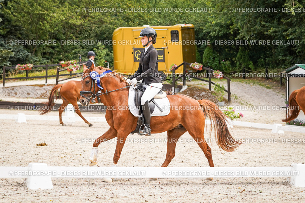 DSC04610 | Pferdegrafie