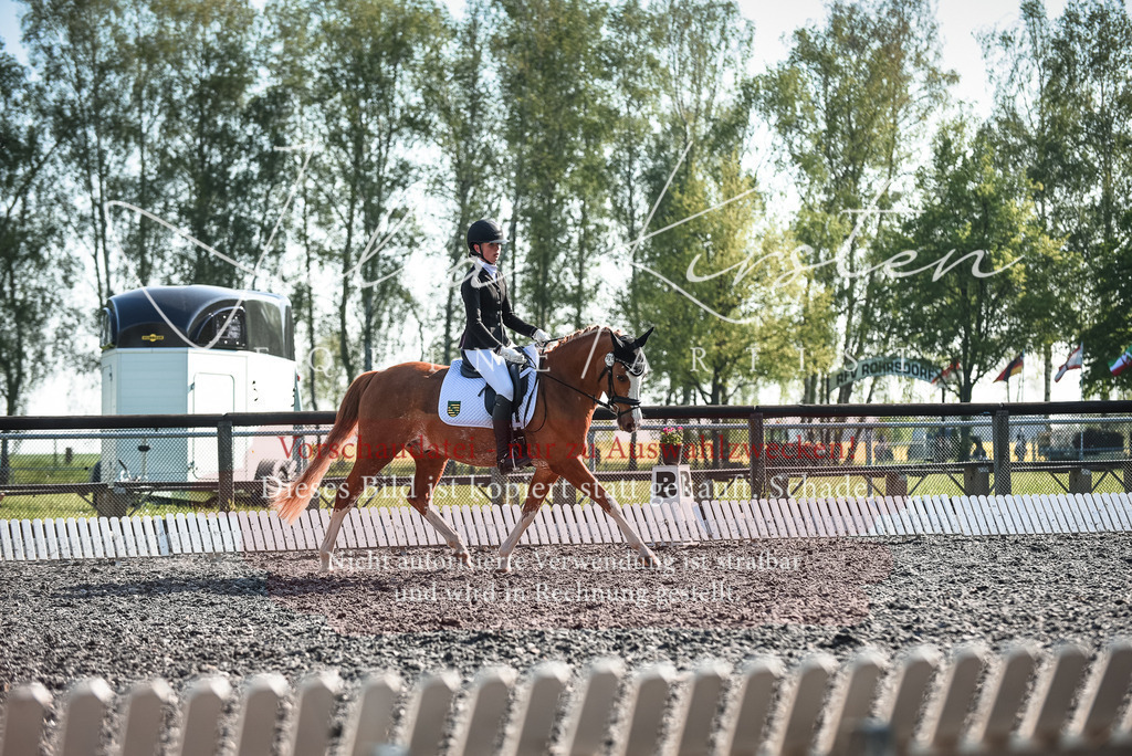 DSC_8253 | Pferde- und Turnierfotografie in Westsachsen. Pferdeportraits, Auftragszeichnungen und intuitive Kunst.
