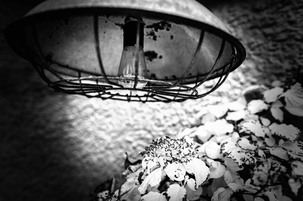 2023_2023_10_29_HH-STERNSCHANZE_MCP5185 sw_01 | Hochwertig gedruckte Fotografien für die Wand, als Kalender und zum Verschenken. Hamburg & Norddeutschland und überall wo ich mit der Kamera unterwegs war.