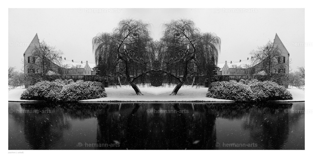 Hermann-Arts_Spiegelbilder_054 | Photo Foto Kunst Art schwarzweiss Bilder Rheine Münster Berlin Blumen 