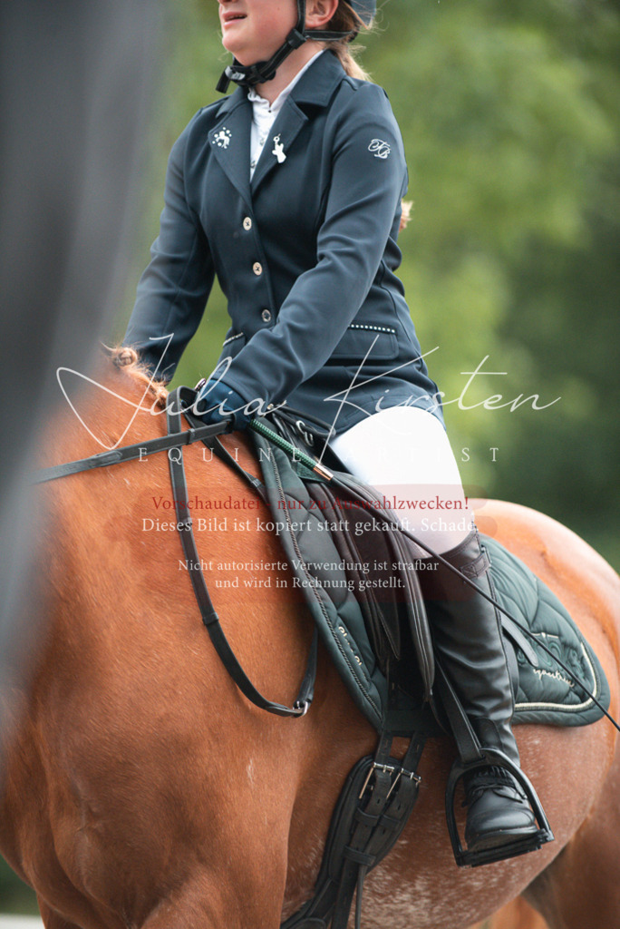 DSC_9636 | Pferde- und Turnierfotografie in Westsachsen. Pferdeportraits, Auftragszeichnungen und intuitive Kunst.