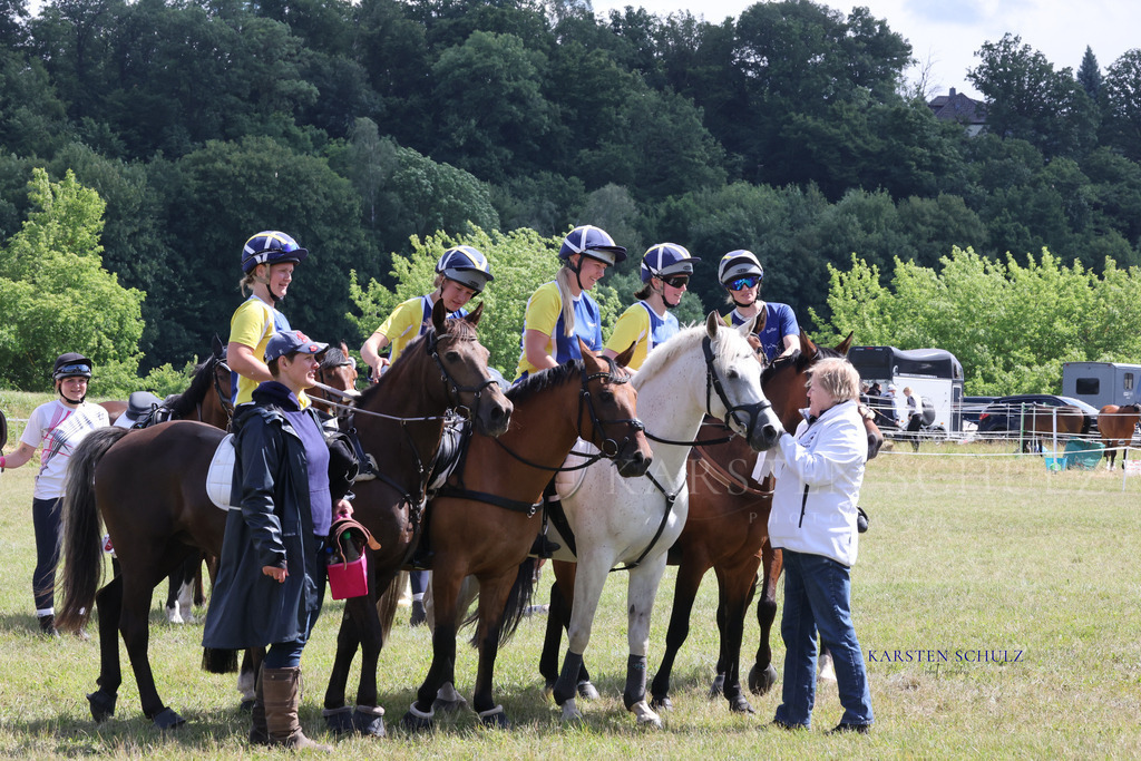 1B3A5056 | Reitsport Reiten