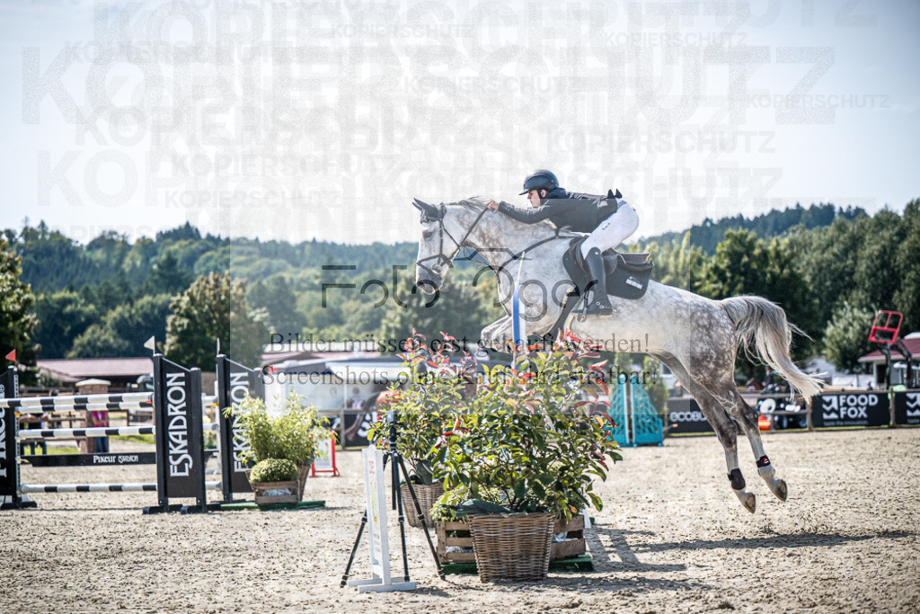 DOS_7242 | Entdecke hochwertige Reitturnierfotos von Foto Oger. Professionell, emotional und authentisch – jetzt Lieblingsmomente im Shop bestellen.Deutschlandweite Turnierfotografie. - Realisiert mit Pictrs.com