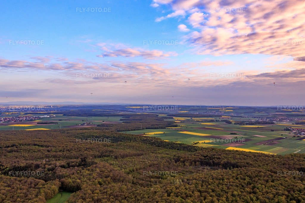 Luftbild: Wald bei Sulzheim in Grettstadt im Bundesland Bayern in Deutschland. Foto: IMG_087770.jpg vom 05.05.2016 durch Werner Riehm/FLY-FOTO.de
