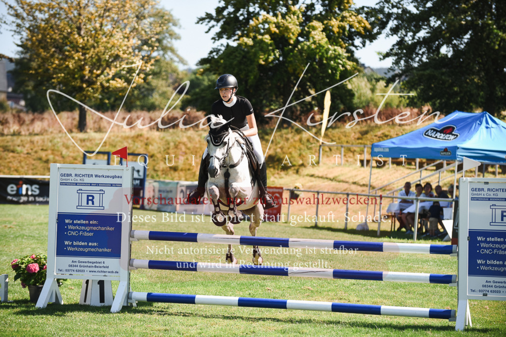 DSC_2744 | Pferde- und Turnierfotografie in Westsachsen. Pferdeportraits, Auftragszeichnungen und intuitive Kunst.