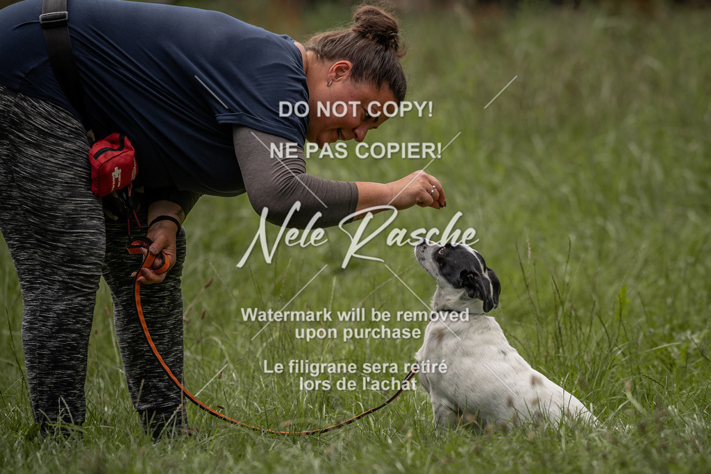 nelerasche_DoN_86 | nelerasche