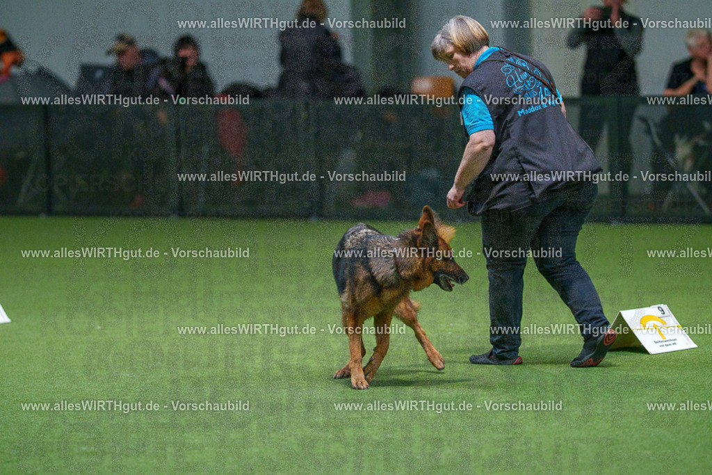 7R507953 | Professionelle Tierfotografie in Mönchengladbach von Daniel Wirth (allesWIRTHgut). Liebevolle & natürliche Bilder von Hunden & Katzen für unvergessliche Erinnerungen.