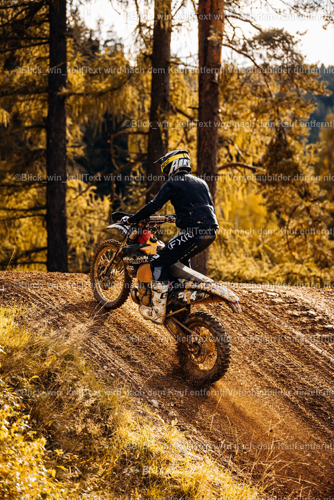 E68A4717 | blick_win_kel