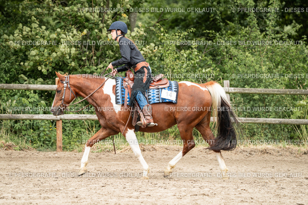 DSC01232 | Pferdegrafie