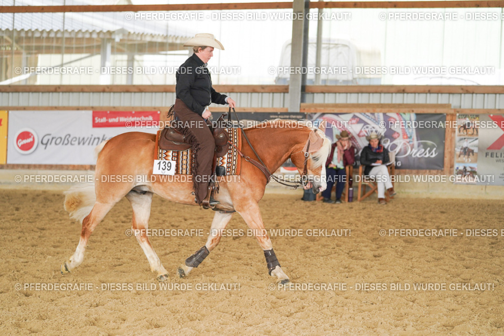 DSC01745 | Pferdegrafie