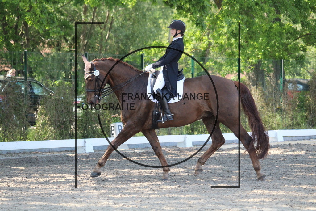 IMG_5487 | franziskalange - Realisiert mit Pictrs.com