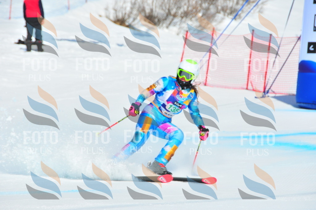 DSC_1115 | holidayphoto