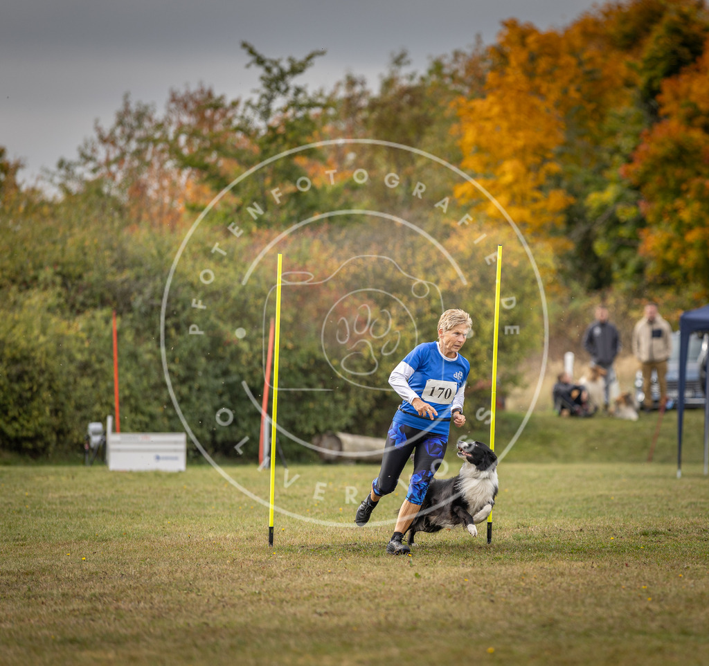Pfotenfotografie_DV3A5864 | Hundefotografie, Tierfotograf, Pfotenfotografie, Fotoshooting Hund, Hunde Portrait, Hundesport, Hundeportraits, Heideshooting, Hunde, Sportfotograf, Hundefotograf, Turnierhundsport, THS,  - Realisiert mit Pictrs.com
