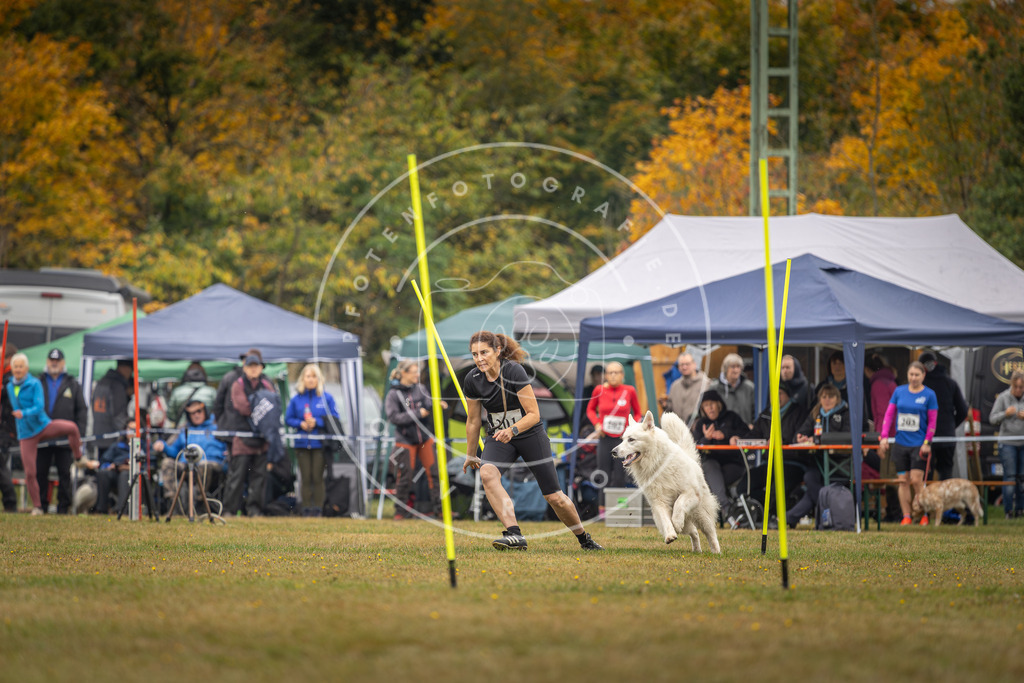 Pfotenfotografie_DV3A1933 | Hundefotografie, Tierfotograf, Pfotenfotografie, Fotoshooting Hund, Hunde Portrait, Hundesport, Hundeportraits, Heideshooting, Hunde, Sportfotograf, Hundefotograf, Turnierhundsport, THS,  - Realisiert mit Pictrs.com