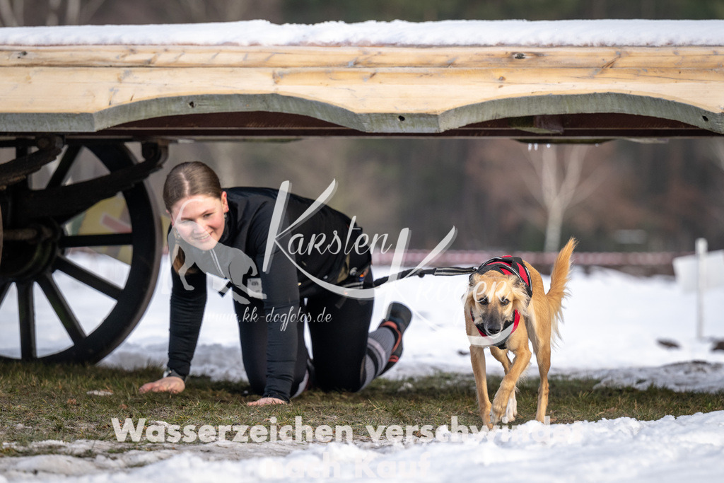 0816_ZZ91247-5 | kk-dogfotos