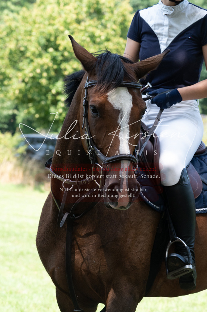 DSC_0673 | Pferde- und Turnierfotografie in Westsachsen. Pferdeportraits, Auftragszeichnungen und intuitive Kunst.
