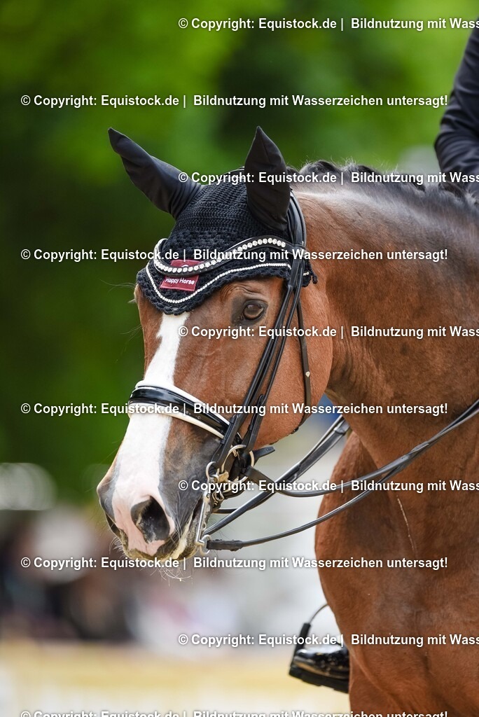 TS_20250608_03_GP-Special-Tour_0090 | Foto: Thomas Hartig