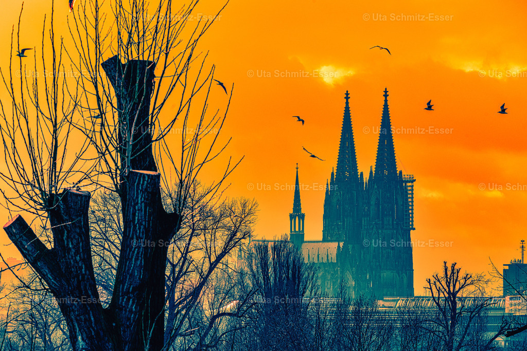 Koeln-Dom-orange | CEUS Design - Realisiert mit Pictrs.com