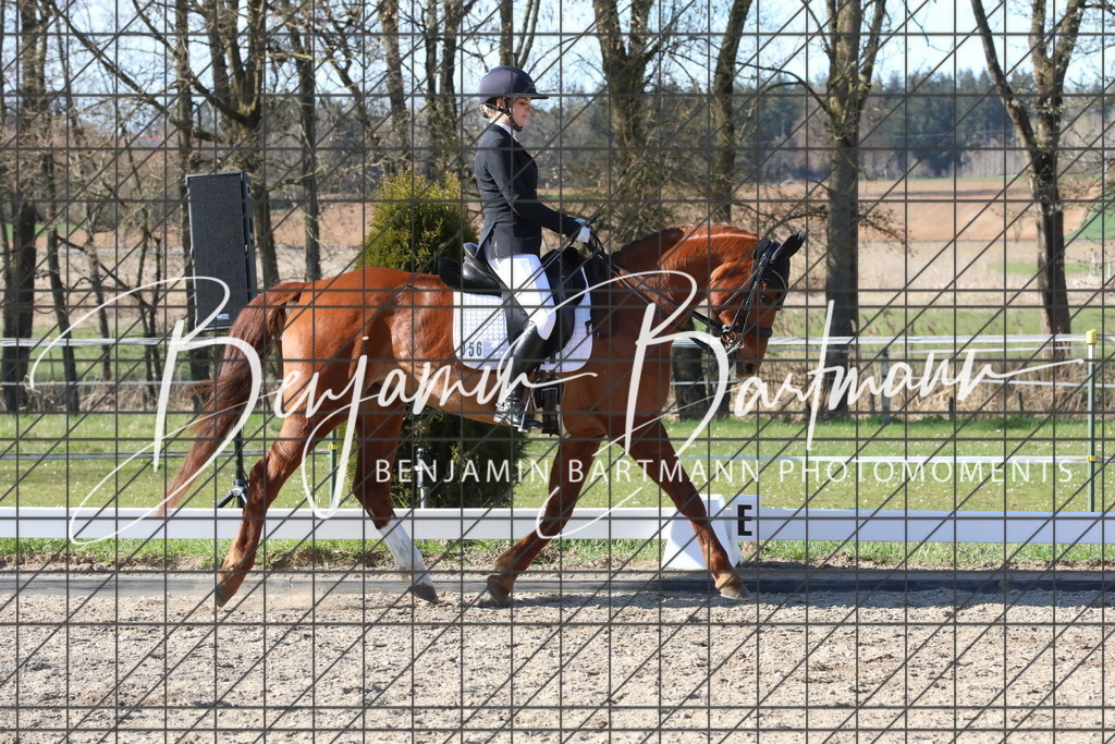 AZ2A5324 | Benjamin Bartmann Photomoments