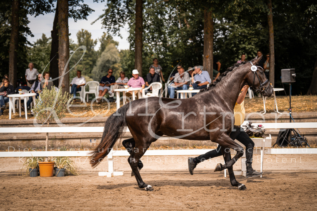 5.Fr00013 | Leoni Ertmer Photography - Realisiert mit Pictrs.com