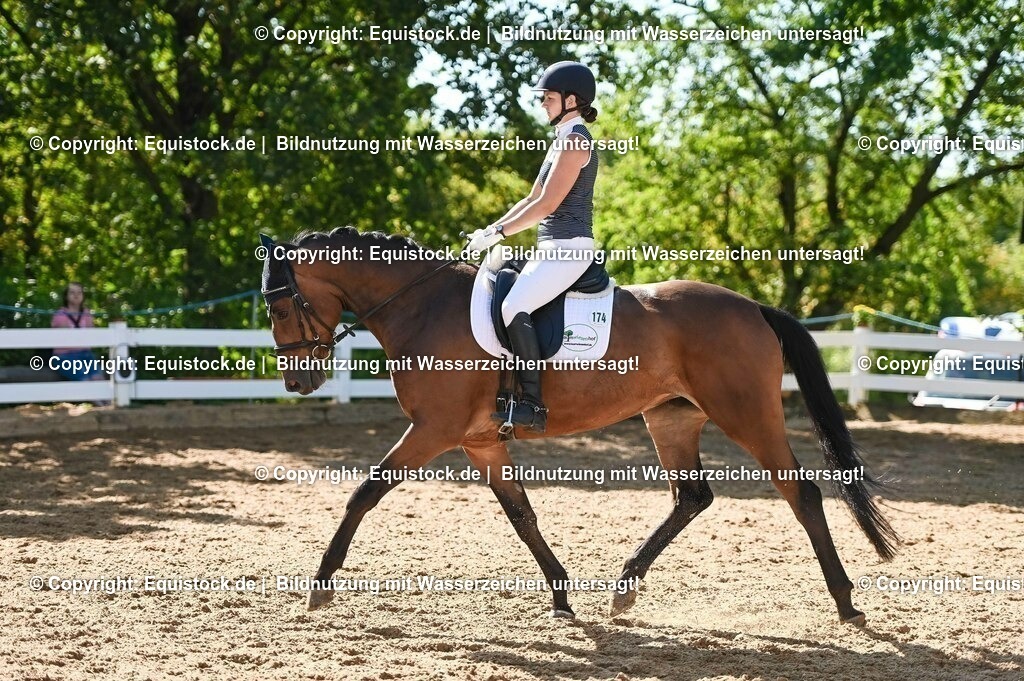 20230715_06_Dressurpferdeprfg. Kl.A_0398 | equistock