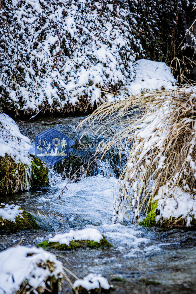 IMAG7959 | SportEventFotografie - Roman Stoiber