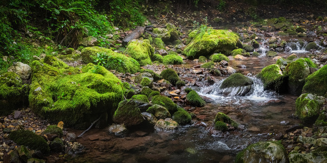 RO_Valea_Sighistelului_4500px_shortside