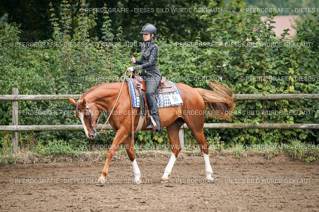 DSC02401 | Pferdegrafie