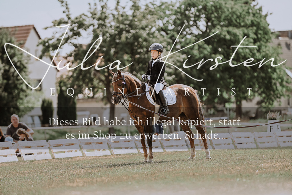 DSC_7597 | Pferde- und Turnierfotografie in Westsachsen. Pferdeportraits, Auftragszeichnungen und intuitive Kunst.
