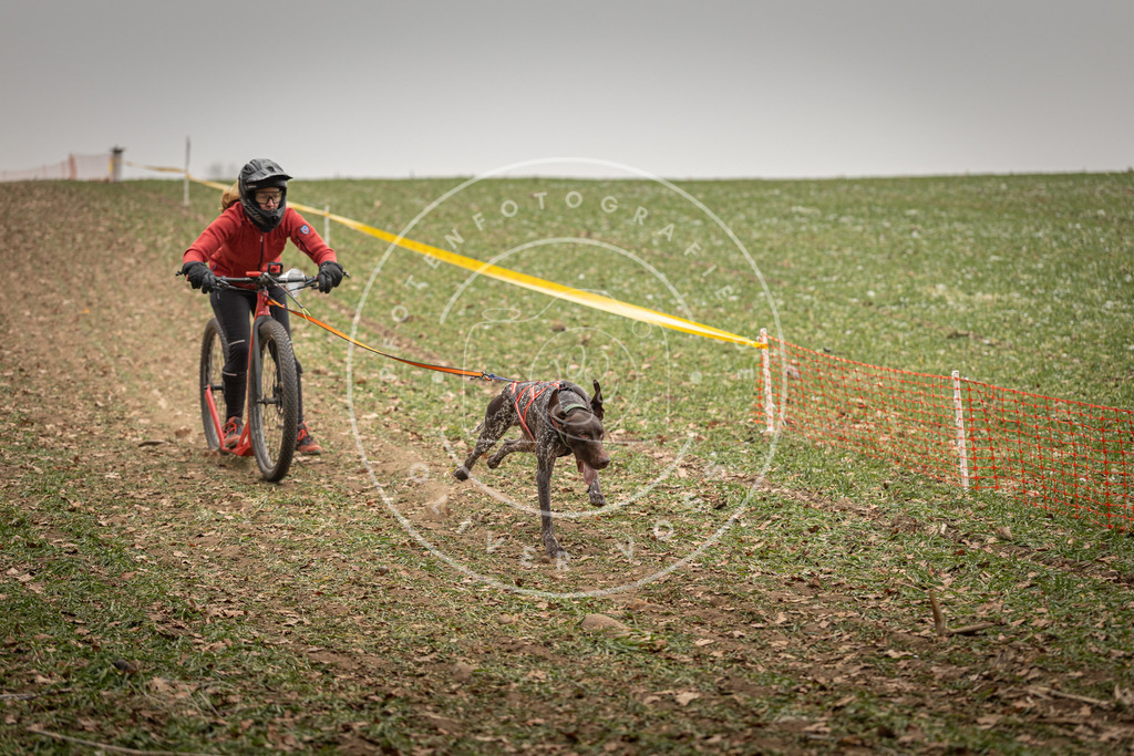 Pfotenfotografie_DV3A3633 | Hundefotografie, Tierfotograf, Pfotenfotografie, Fotoshooting Hund, Hunde Portrait, Hundesport, Hundeportraits, Heideshooting, Hunde, Sportfotograf, Hundefotograf, Turnierhundsport, THS,  - Realisiert mit Pictrs.com