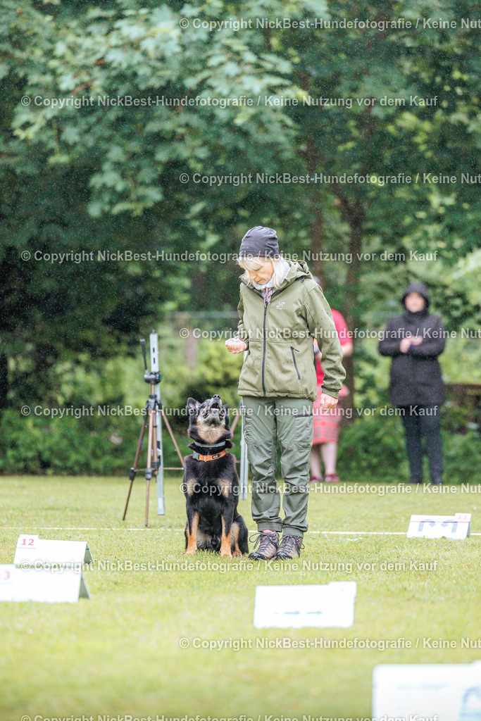 RO-Blumenthal-2026-Nickbest-Hundefotografie-0075 | Dein Hund! Dein Moment! Deine Erinnerungen! Hundefotografie in Bremen Blumenthal. Ich fange die besonderen Momente deines Vierbeiners ein – ob Indoor mit Blitzanlage oder in der freien Natur. Sicher dir dein Moment und dein Termin für eure Erinnerungen.