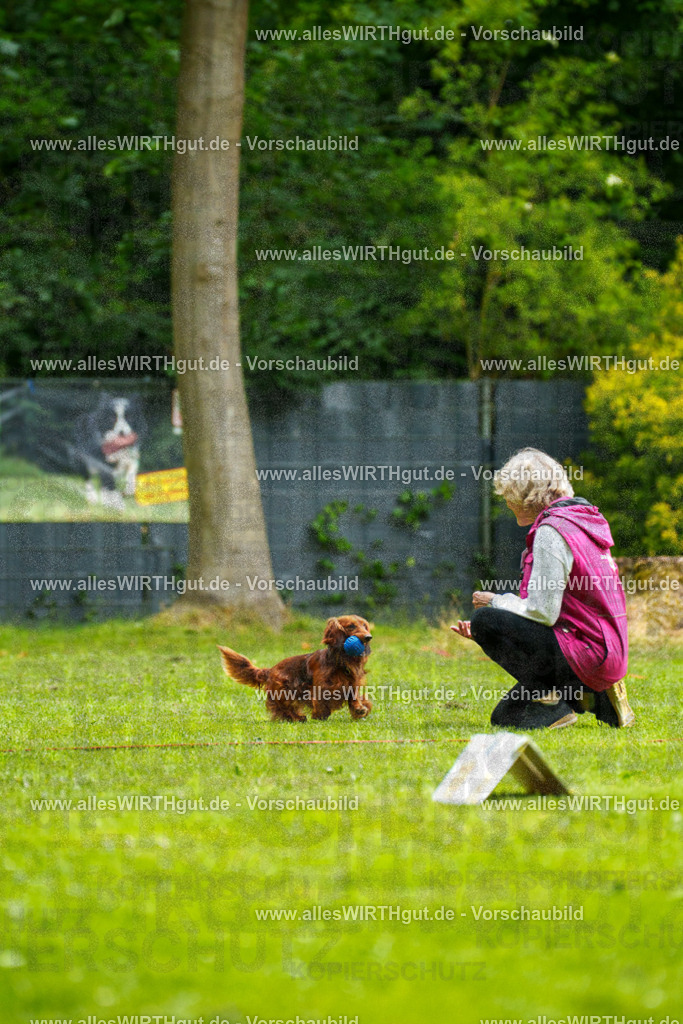 @allesWIRTHgut_Tierfotografie - www.allesWIRTHgut.de - 091100-7R506692 | Professionelle Tierfotografie in Mönchengladbach von Daniel Wirth (allesWIRTHgut). Liebevolle & natürliche Bilder von Hunden & Katzen für unvergessliche Erinnerungen.