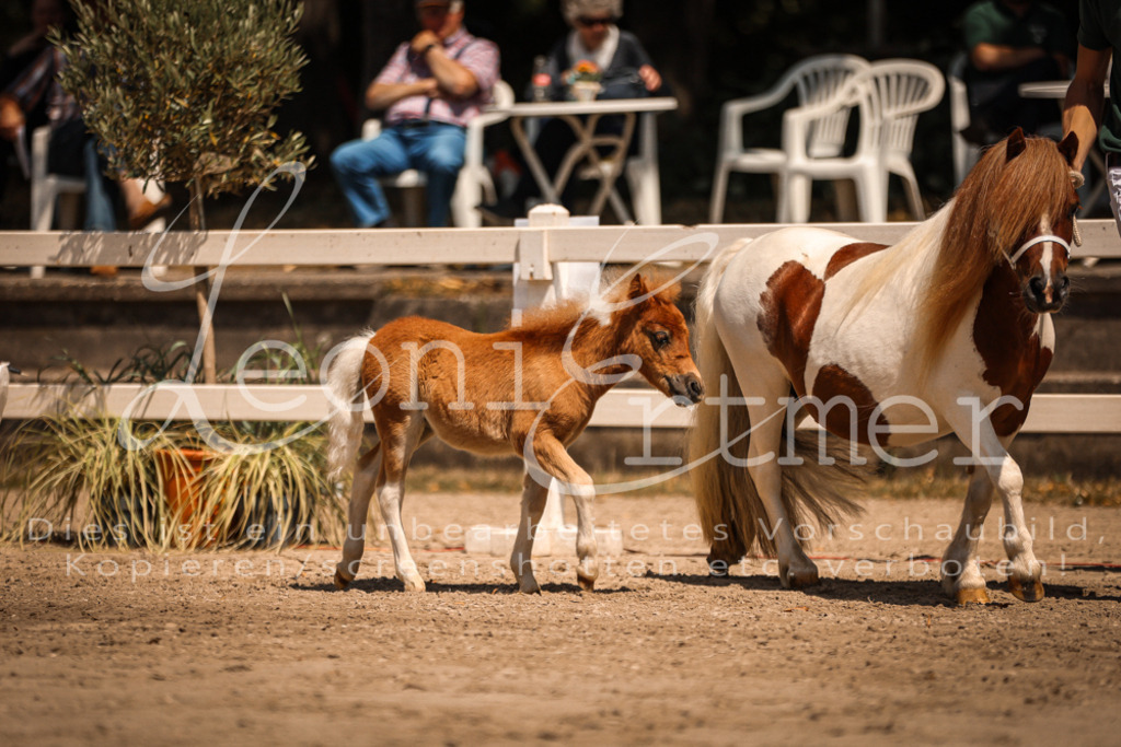 01.DoKR00084 | Leoni Ertmer Photography - Realisiert mit Pictrs.com