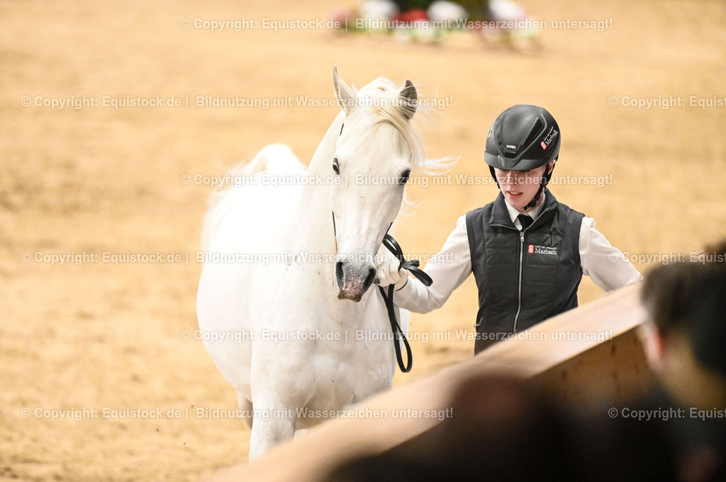 20260307_Hengstvorstellung-Marbach_0292 | equistock