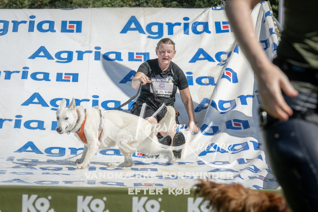 1217_ZZ95945 | kk-dogfotos