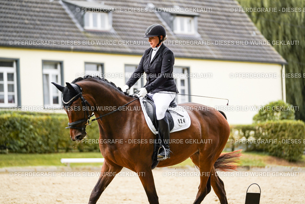 DSC09024 | Pferdegrafie