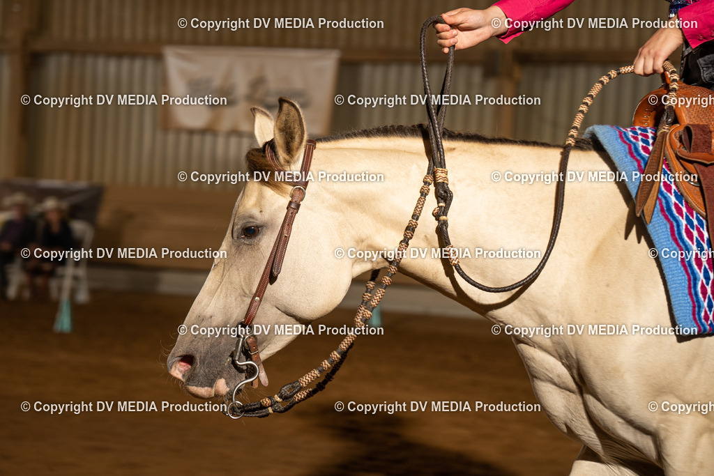 NID01301 | dv-media-shop - Realisiert mit Pictrs.com