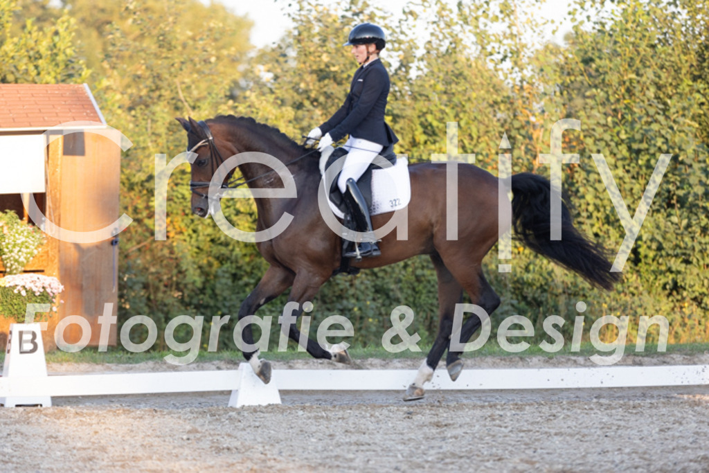 IMG_1781 | Creatify Fotografie