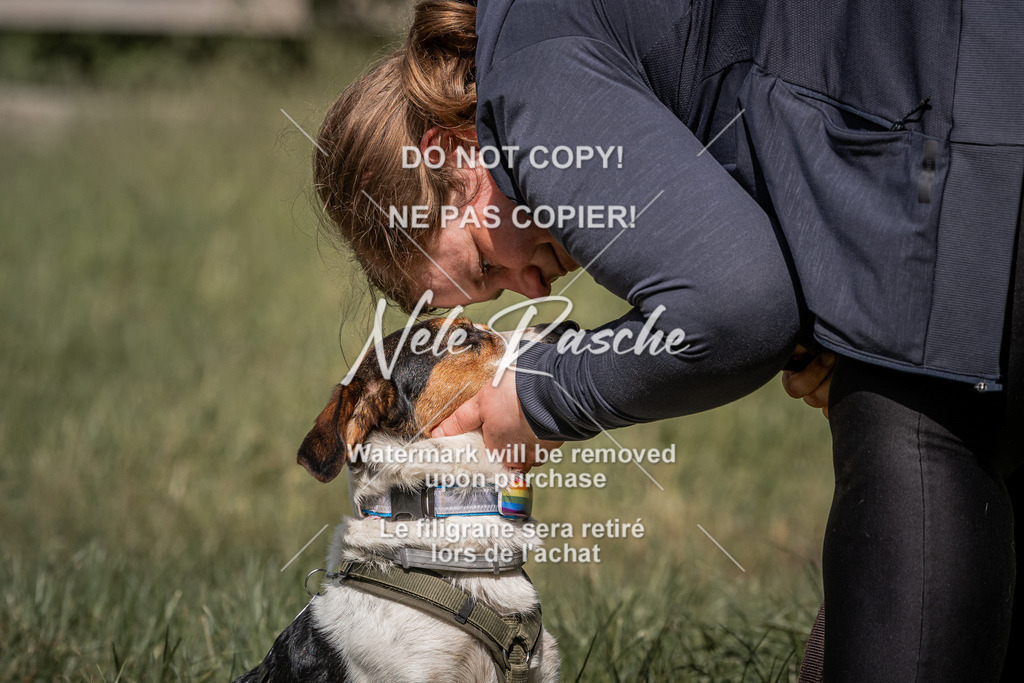 nelerasche_Do-spät_99 | nelerasche