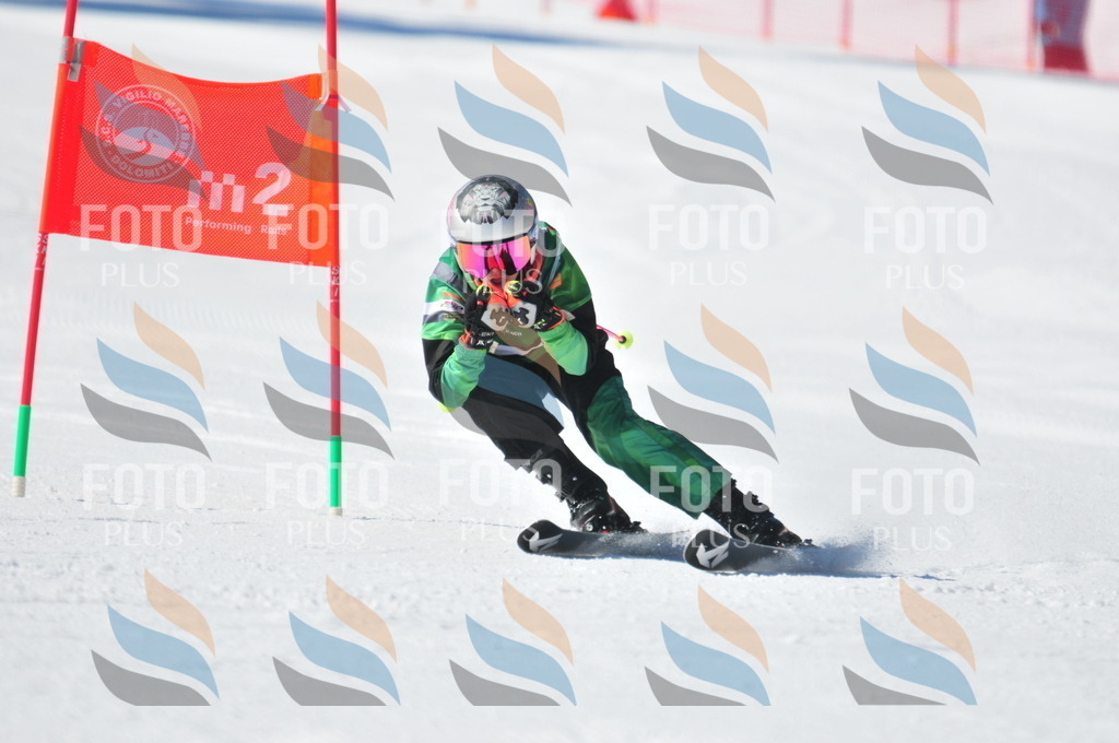 C3598 | holidayphoto