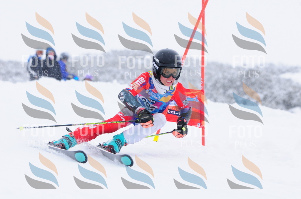 C4070 | holidayphoto