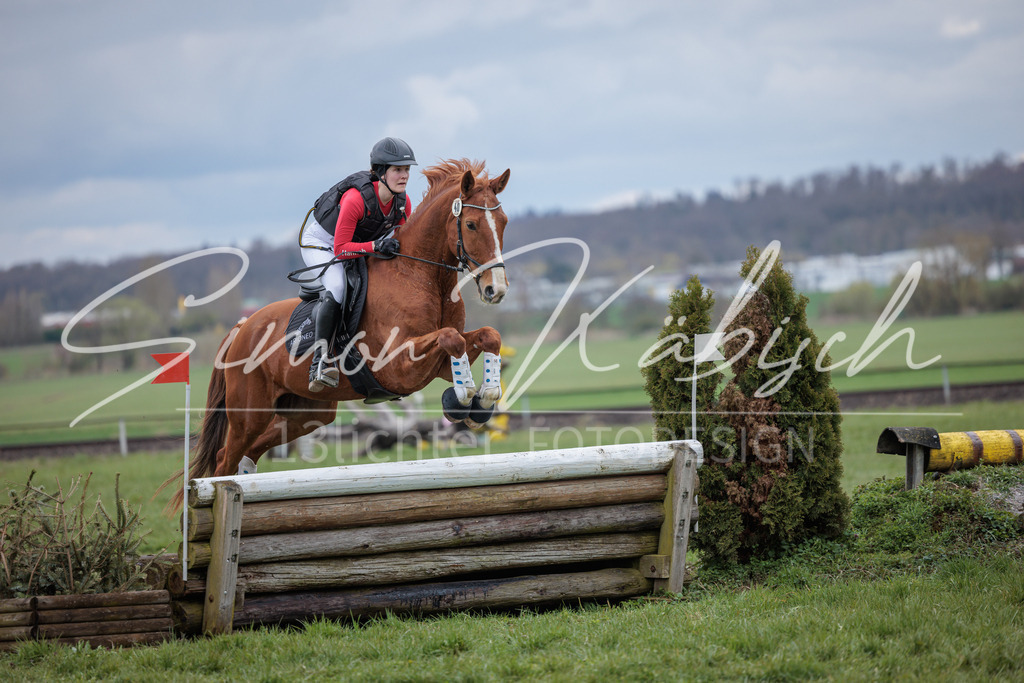 20260329-_3LI5775 | Tierfotografie Pferde, Hunde, Katzen, Haustiere.
Turnierfotografie Reitturniere, Reiten, Springreiten, Dressur in Hanau, dem Main-Kinzig-Kreis und dem Rhein-Main- Gebiet um Frankfurt